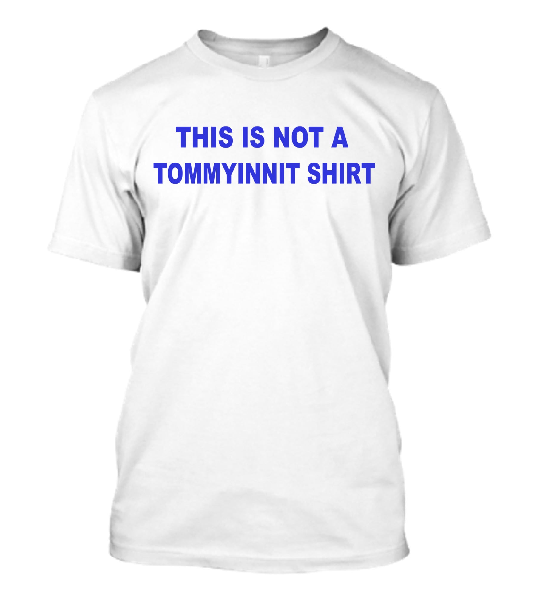 This Is Not A Tommyinnit T-Shirt