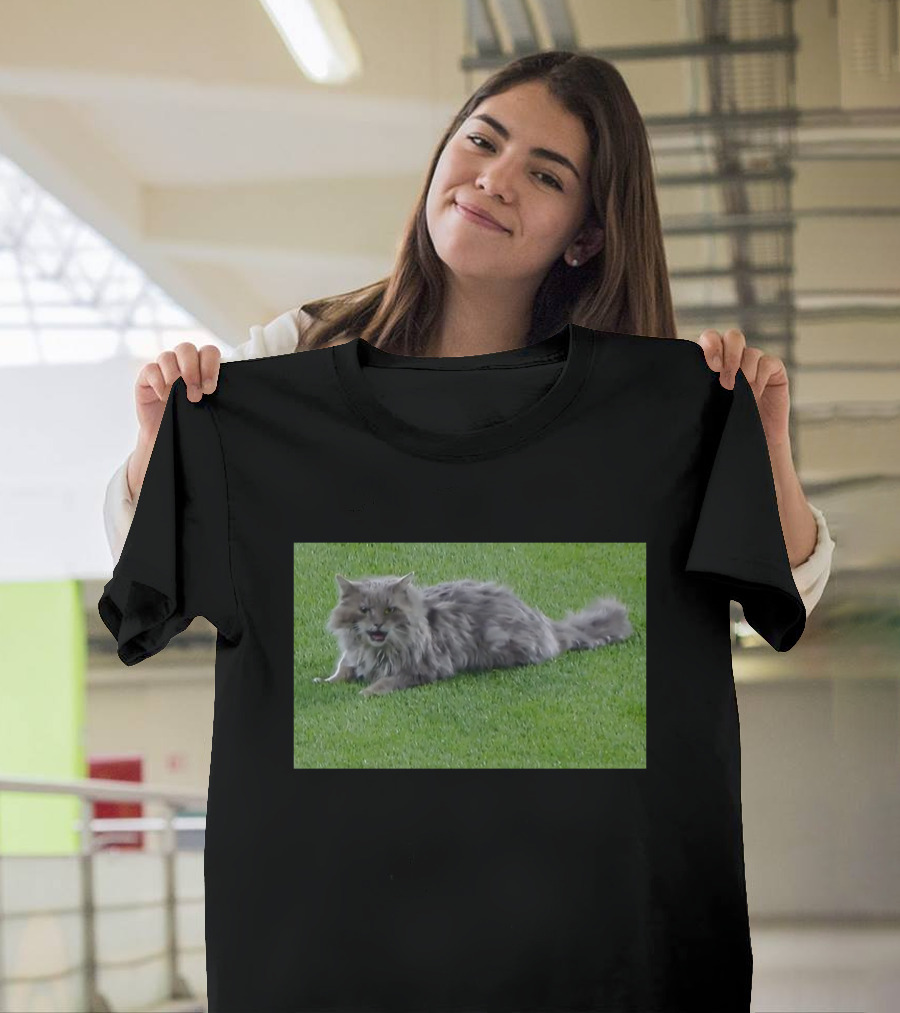 Cat Stops Play At Los Angeles Dodgers Stadium Event T-Shirt