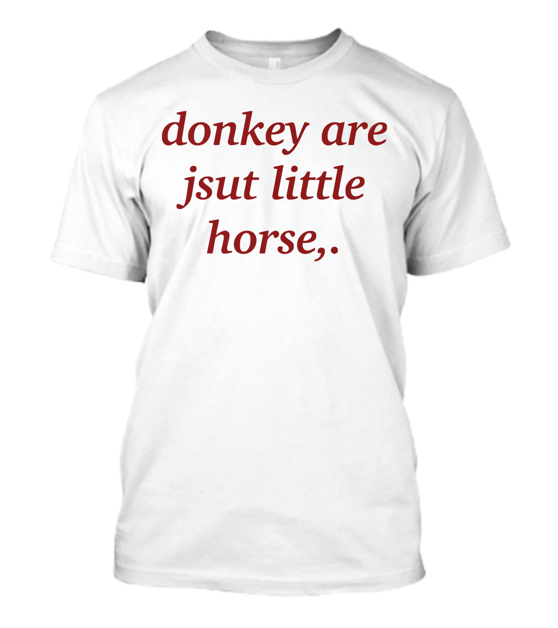 Donkey Are Jsut Little Horse T-Shirt