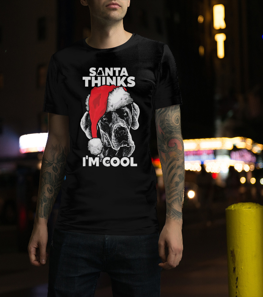 SANTA THINKS I'M COOL GREAT DANE T-Shirt