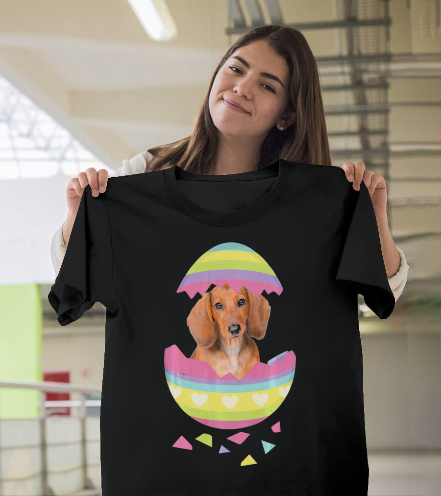 Dachshund In Colorful Easter Egg With Heart Stripes T-Shirt