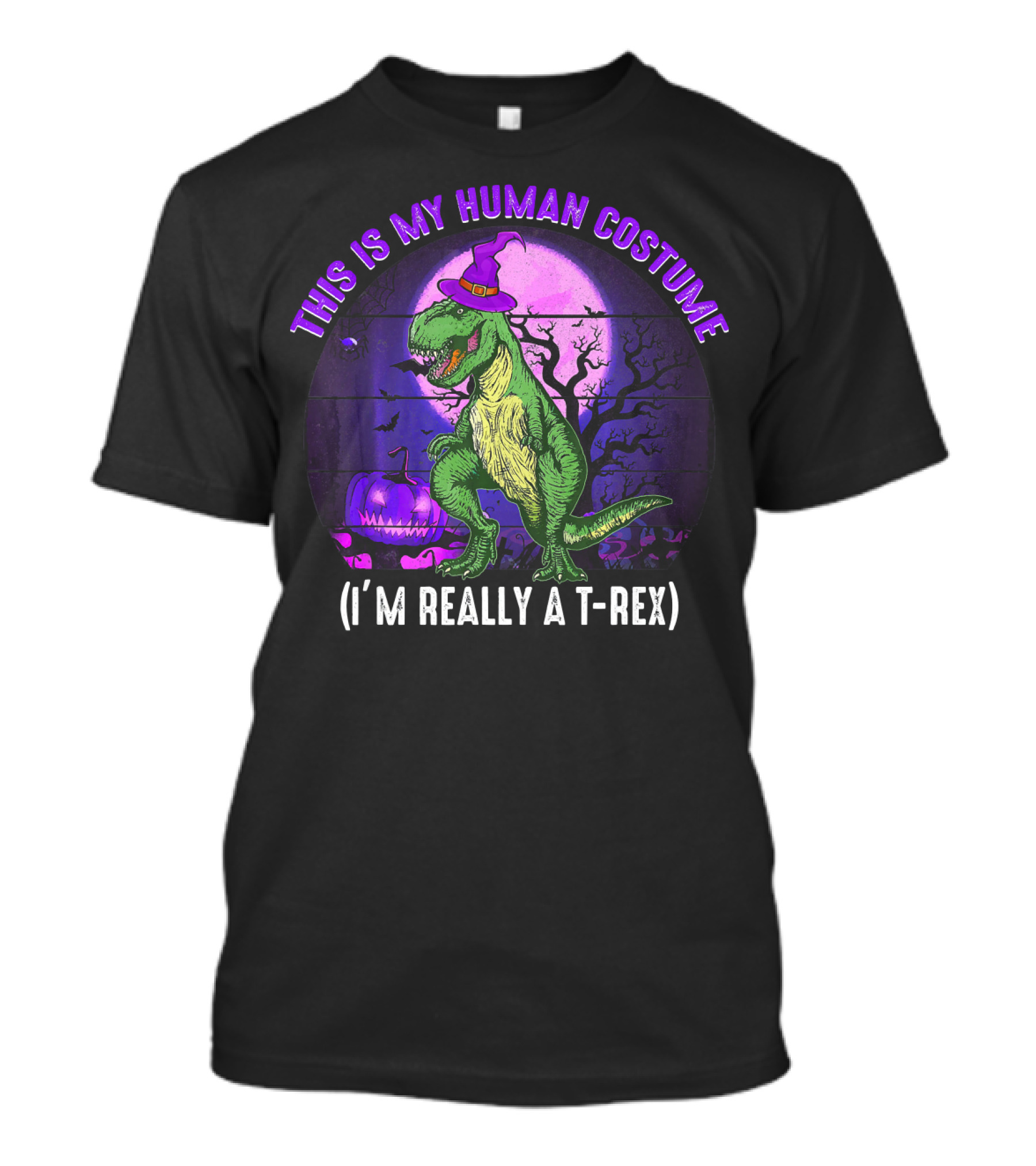 This Is My Human Costume I'm Really A T-Rex Funny Dinosaur Halloween Moon Wizard Hat T-Shirt