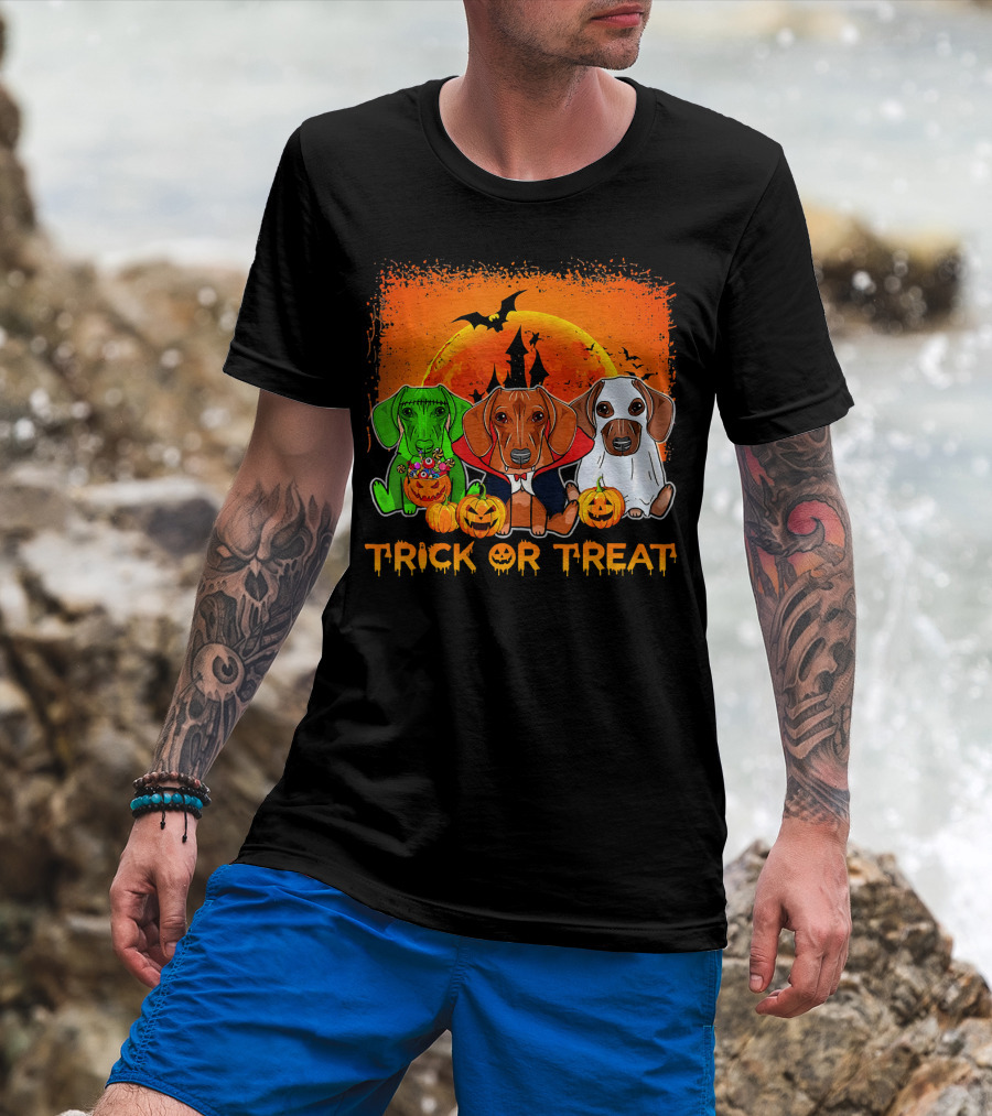 Halloween Dachshund Trio Trick Or Treat With Pumpkins And Moon Background T-Shirt