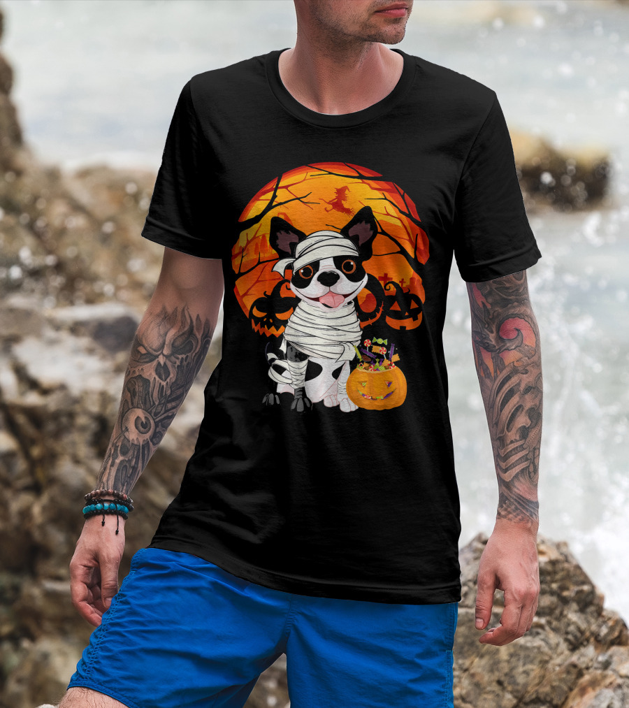 Halloween Kids Boston Terrier Mummy With Pumpkin And Witch T-Shirt