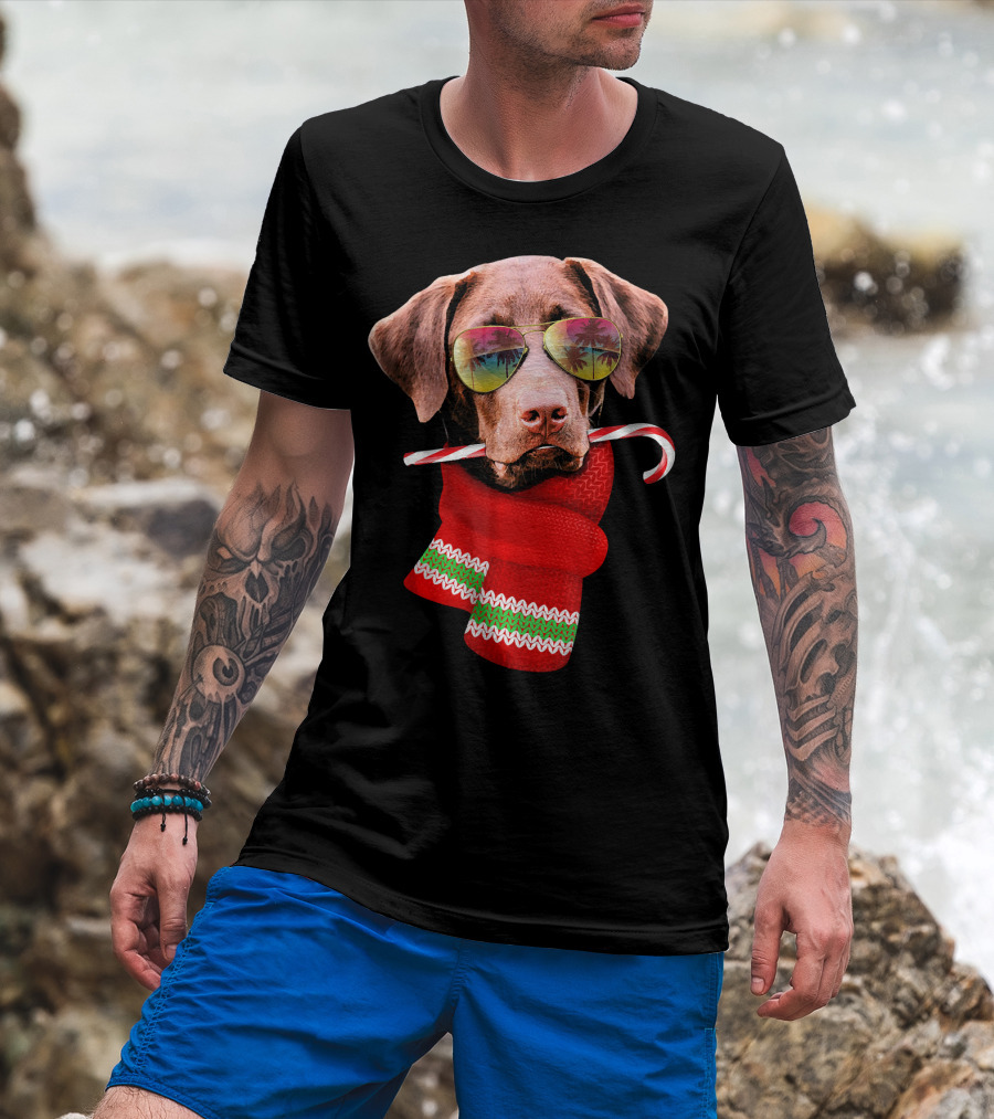Christmas In July Labrador Sunglasses Candy Cane Scarf T-Shirt