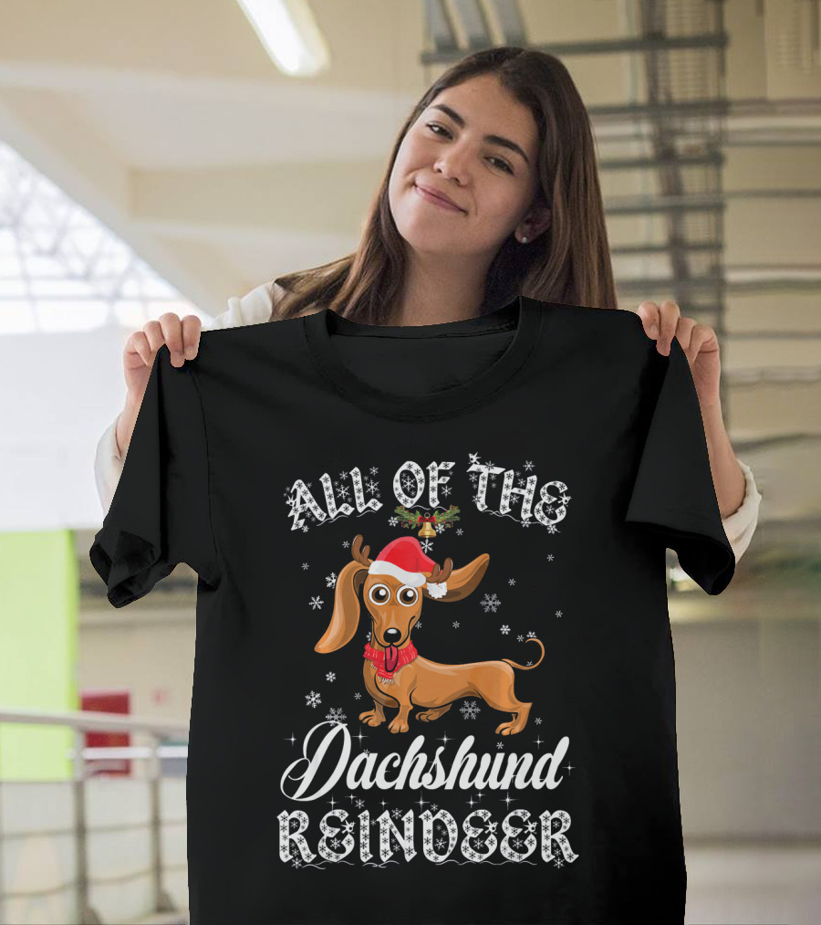 All Of The Dachshund Reindeer Santa Hat Snowflakes T-Shirt
