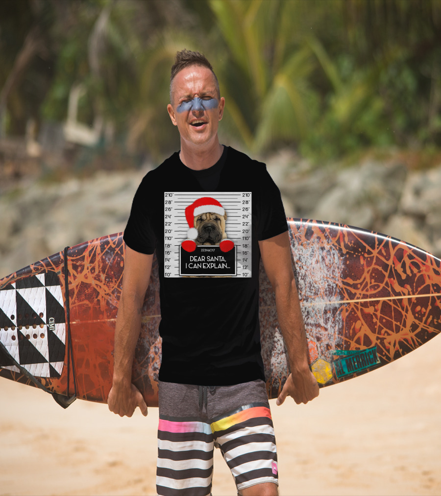 Xmas Chinese Shar Pei Lover Dear Santa I Can Explain Mugshot Santa Hat T-Shirt