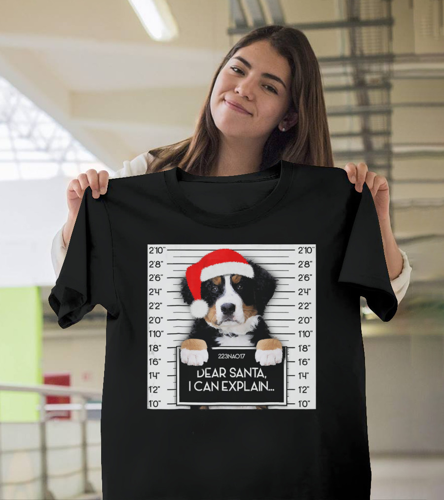 Xmas Bernese Mountain Dog Lover Santa Hat Dear Santa I Can Explain T-Shirt