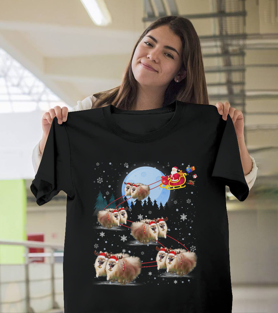 Pomeranian Reindeer Santa Sleigh Christmas Under Moonlight T-Shirt