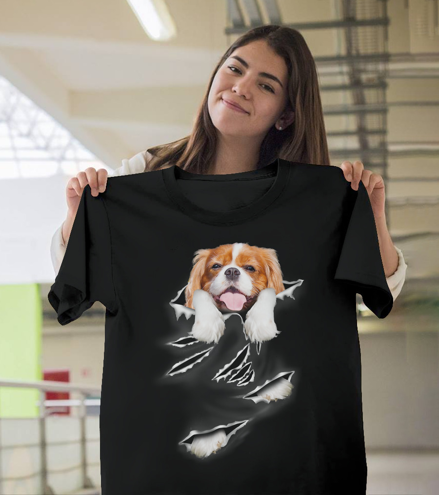 Cavalier King Charles Spaniel Scratch Torn Paws And Face Peeking Through T-Shirt