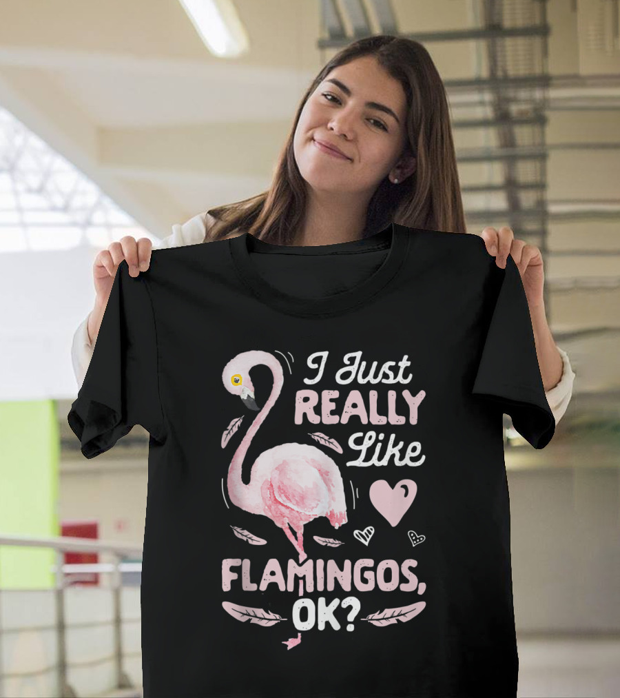 I Just Really Like Flamingos OK Funny Pink Flamingo Lover Heart Feathers T-Shirt
